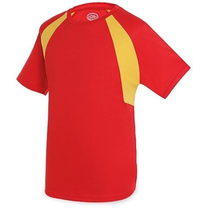 Picture of Camiseta técnica España 501059